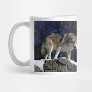 Arctic Wolf on Rock Cliff Mug